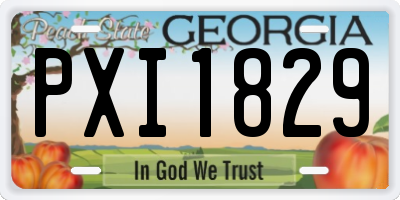 GA license plate PXI1829