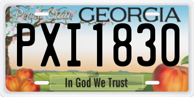 GA license plate PXI1830