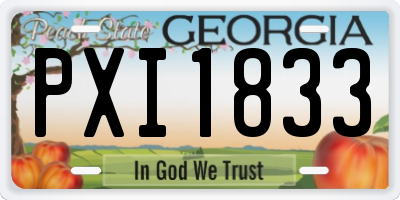 GA license plate PXI1833