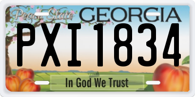 GA license plate PXI1834