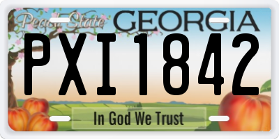 GA license plate PXI1842
