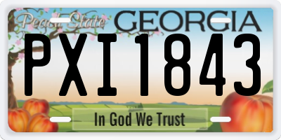GA license plate PXI1843