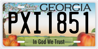 GA license plate PXI1851