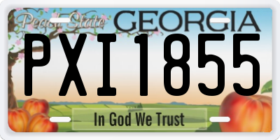 GA license plate PXI1855