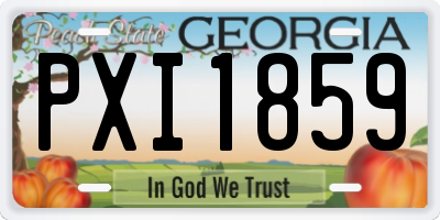 GA license plate PXI1859