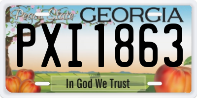 GA license plate PXI1863