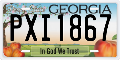 GA license plate PXI1867