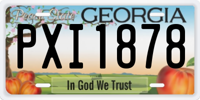 GA license plate PXI1878