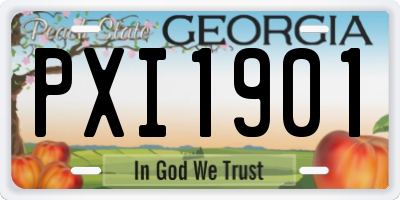 GA license plate PXI1901