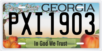 GA license plate PXI1903