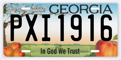 GA license plate PXI1916