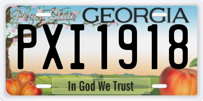 GA license plate PXI1918
