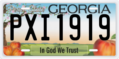 GA license plate PXI1919
