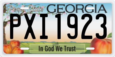 GA license plate PXI1923