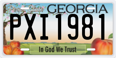 GA license plate PXI1981