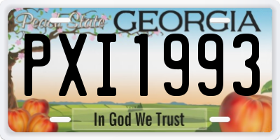 GA license plate PXI1993