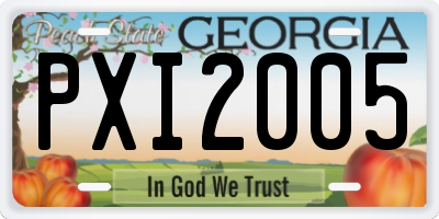 GA license plate PXI2005