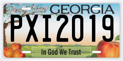 GA license plate PXI2019