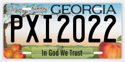 GA license plate PXI2022