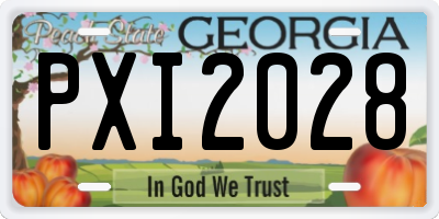 GA license plate PXI2028