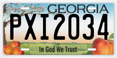 GA license plate PXI2034