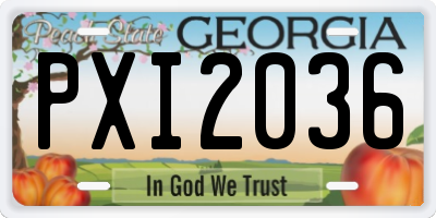 GA license plate PXI2036