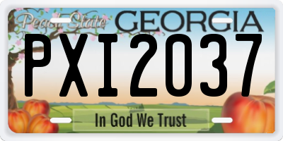 GA license plate PXI2037