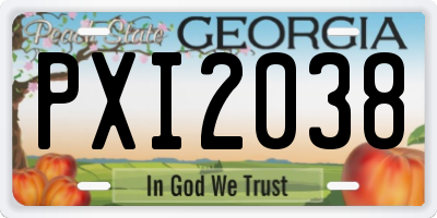 GA license plate PXI2038