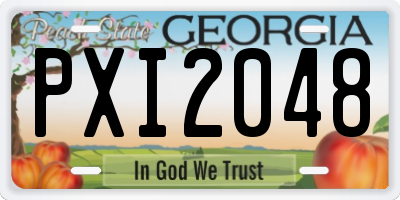 GA license plate PXI2048