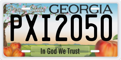 GA license plate PXI2050