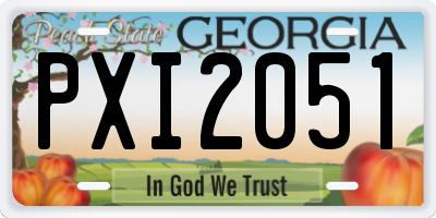 GA license plate PXI2051