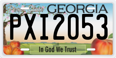 GA license plate PXI2053