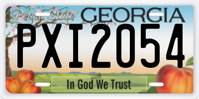 GA license plate PXI2054