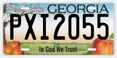 GA license plate PXI2055