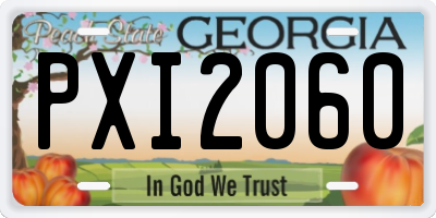 GA license plate PXI2060