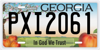 GA license plate PXI2061