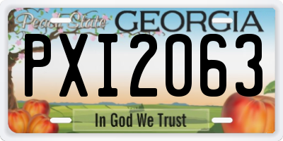 GA license plate PXI2063