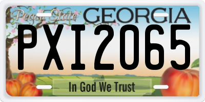 GA license plate PXI2065