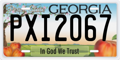GA license plate PXI2067