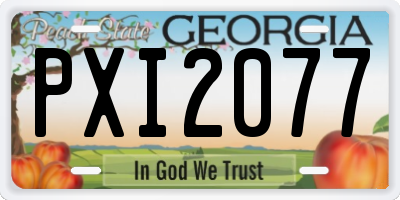 GA license plate PXI2077