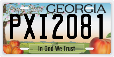 GA license plate PXI2081