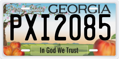 GA license plate PXI2085