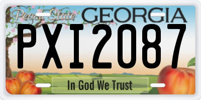 GA license plate PXI2087