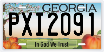 GA license plate PXI2091