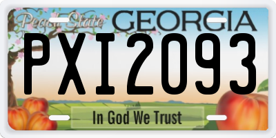GA license plate PXI2093