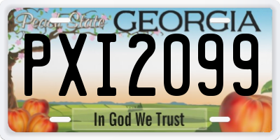 GA license plate PXI2099