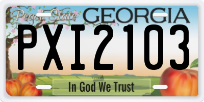 GA license plate PXI2103