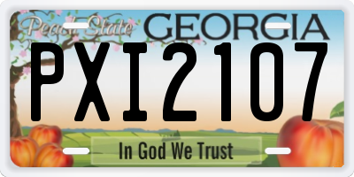 GA license plate PXI2107