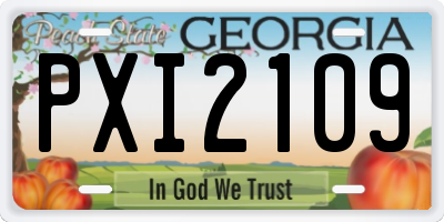 GA license plate PXI2109