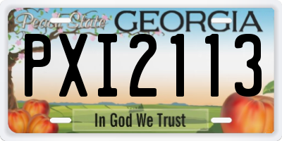 GA license plate PXI2113